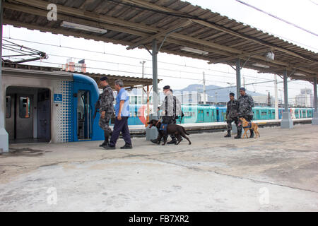 Rio de Janeiro, Brazil, 11th January 2016: BAC-Action Battalion with Dogs conducts training against terrorism for the Olympic Games Rio 2016. The BAC dogs are trained to identify weapons, drugs and explosives in different situations. BAC dogs trained at the Central do Brasil railway station Credit:  Luiz Souza/Alamy Live News Stock Photo