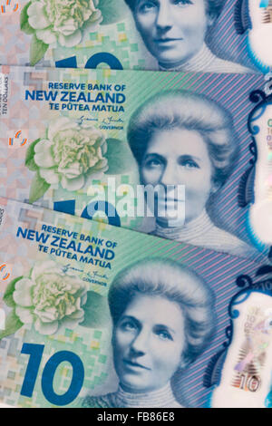 Kate Sheppard  on new updated  ten dollar $10  New Zealand  kiwi bank notes NZD Stock Photo