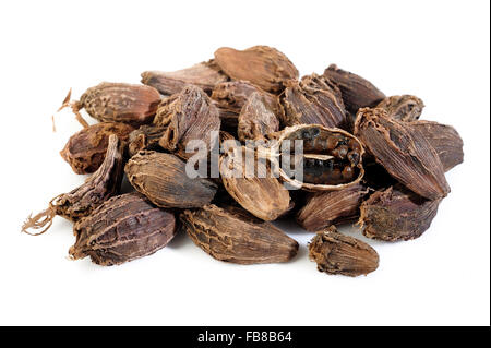 black cardamom isolated on white background Stock Photo