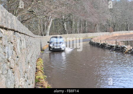 Kemnay, Aberdeenshire, Scotland, UK. 11th January, 2016. UK weather. Flooding at Boatleys Farm, Kemnay Credit:  Kemnay Photographic/Alamy Live News Stock Photo