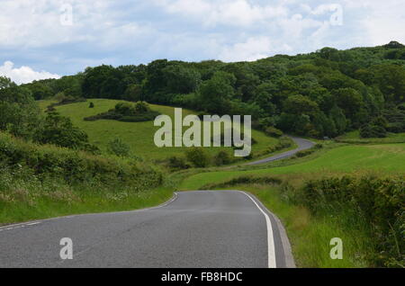 Road curving towards green hills, West Lothian, Scotland Stock Photo