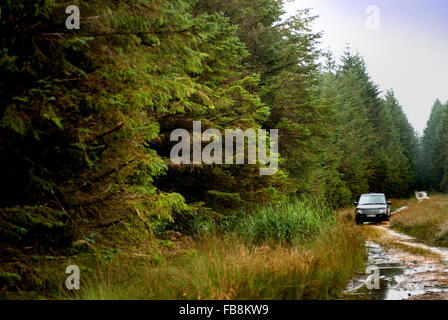 4x4 driving through Kielder forest / Range Rover Stock Photo