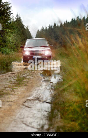 4x4 driving through Kielder forest / Range Rover Stock Photo