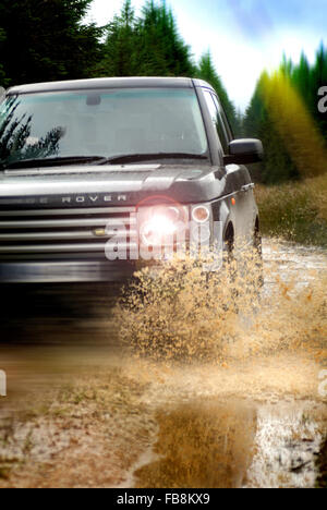 4x4 driving through Kielder forest / Range Rover Stock Photo