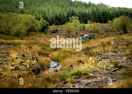 4x4 driving through Kielder forest / Range Rover Stock Photo