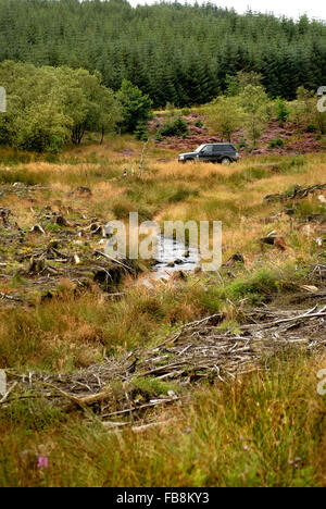 4x4 driving through Kielder forest / Range Rover Stock Photo