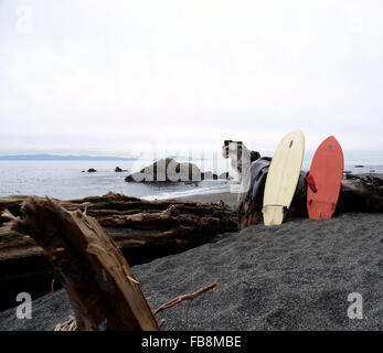 Day of rest- Surfing Board in Sombrio Beach park Stock Photo