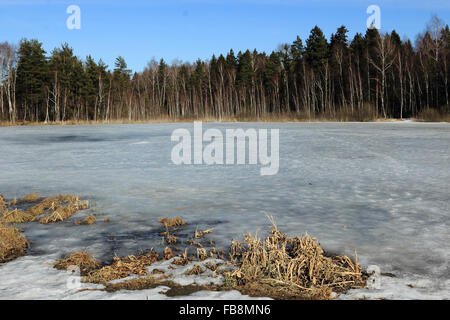 Forest over Black lake (Chernoe ozero) in winter over Zelenograd, Moscow, Russia Stock Photo