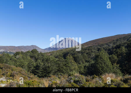 View of Mount Ngauruhoe in New Zealand as seen from the Tongariro Northern Circuit. Stock Photo