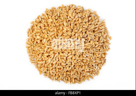 pearl barley grains on white background Stock Photo