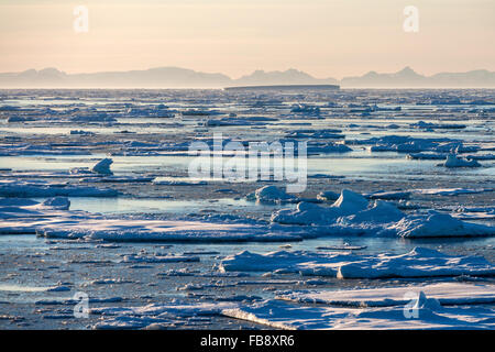 Sea ice off the coast of eastern Greenland. Stock Photo