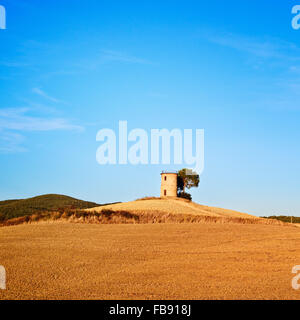 Tuscany, Maremma typical countryside sunset landscape with hill, tree and rural tower. Stock Photo