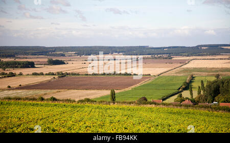 River Ancholme Valley, North Lincolnshire, arable, Broughton Woods, Stock Photo