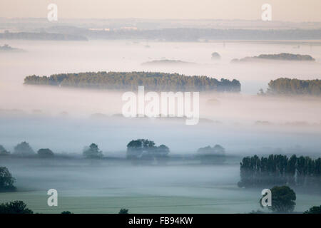 River Ancholme Valley, North Lincolnshire, mist, trees above mist in valley, Stock Photo