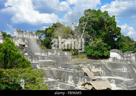 North Acropolis structures in Tikal National Park and archaeological site, Guatemala Stock Photo
