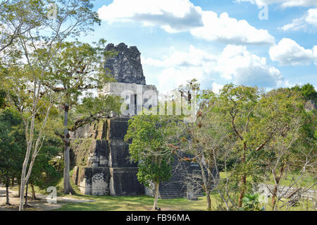 Temple II of the Maya archaeological site of Tikal in Guatemala Stock Photo