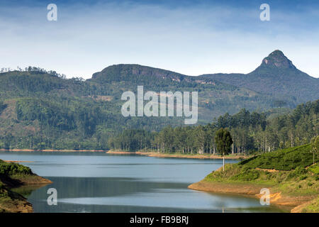 Amazing view over Maussakelle Reservoir (Maskeliya lake) on Adam's Peak ...