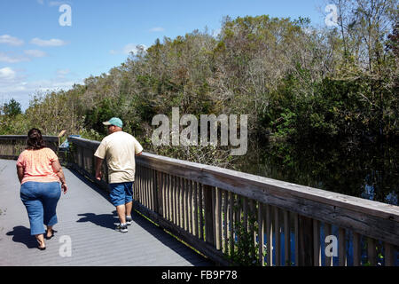 Miami Florida,Everglades,Big Cypress National Preserve,Turner River water Canal,HP Williams Park,nature,natural scenery,cypress trees,boardwalk,adult Stock Photo