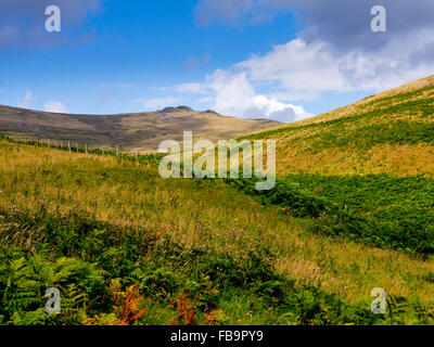 The Cheviot Hills near Linhope and Ingram in Northumberland National Park north east England UK in August with moors beyond Stock Photo