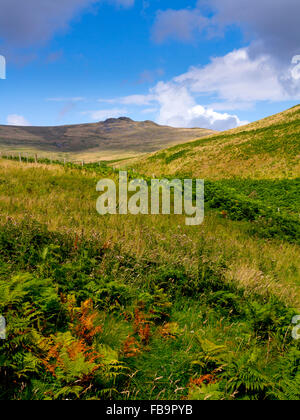 The Cheviot Hills near Linhope and Ingram in Northumberland National Park north east England UK in August with moors beyond Stock Photo