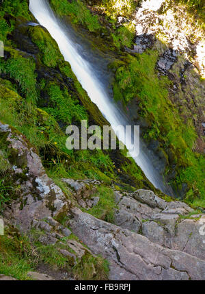 Linhope Spout an 188 metre chute of water in the Cheviot Hills near Ingram  Northumberland National Park north east England UK Stock Photo