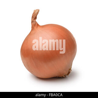 Ripe onion bulb isolated on white Stock Photo