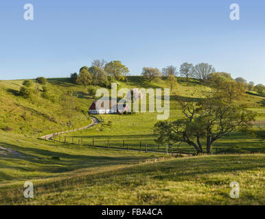 Cottage in pastoral countryside landscape in the south of Sweden. Skane / Scania, Scandinavia. Stock Photo