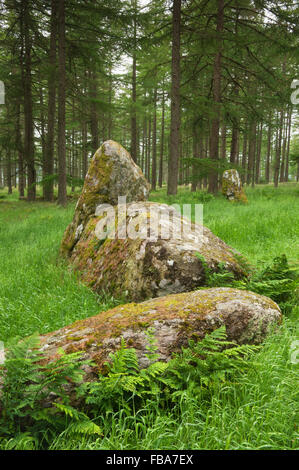 Nine Stanes Stone Circle - near Banchory, Aberdeenshire, Scotland. Stock Photo