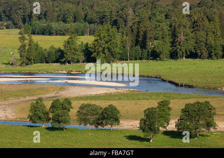 Mar Lodge Estate with the River Dee, near Braemar, Deeside, Aberdeenshire, Scotland. Within Cairngorms National Park. Stock Photo