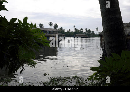 Houseboats moored in the backwaters of Allepuzha (Alleppey), Kerala, India Stock Photo