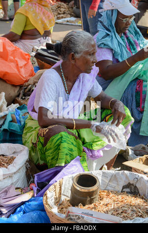 Indian woman selling dried fish at Mapusa's lively Friday market, Mapusa, North Goa, India Stock Photo