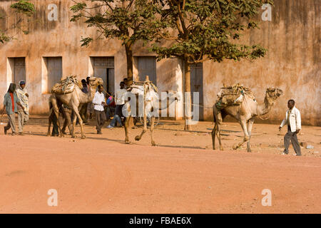 The caravan going through the village, Shire, Ethiopia. Stock Photo