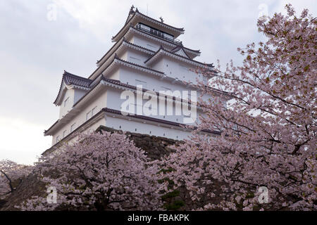 Tsuruga Castle surrounded by Cherry Blossoms, Aizuwakamatsu, Fukushima Prefecture, Japan Stock Photo