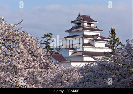 Tsuruga Castle surrounded by Cherry Blossoms, Aizuwakamatsu, Fukushima Prefecture, Japan Stock Photo