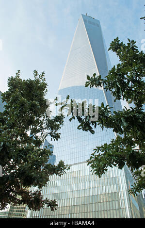 Trees and view of the One World Trade Center (Freedom Tower), the main building of the rebuilt World Trade Center complex in Lower Manhattan, New York Stock Photo