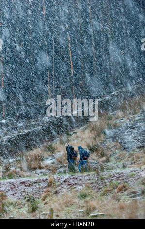 Brecon, Powys, Wales, UK. 13th January, 2016. Two hikers walk through a blizzard in the Brecon Beacons near Storey Arms. Credit:  Graham M. Lawrence/Alamy Live News. Stock Photo