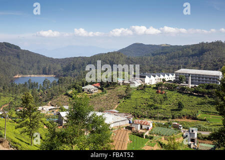 Nuwara Eliya Pedro Tea Estate tea factory, Sri Lanka, Asia Stock Photo