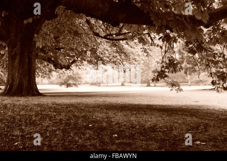 Henrietta Park, Bath, in the rain. A sepia toned shot of a park in the UNESCO world heritage city of Bath, UK Stock Photo