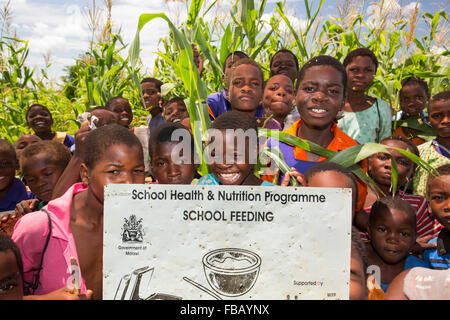 In mid January 2015, a three day period of excessive rain brought unprecedented floods to the small poor African country of Malawi. It displaced nearly quarter of a million people, devastated 64,000 hectares of land, and killed several hundred people. This shot shows displaced children in Baani refugee camp near Phalombe, in a Maize field, Malawi's subsistence food. Stock Photo