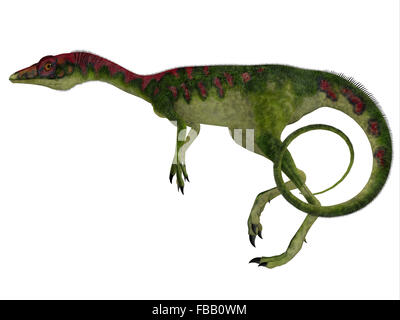Compsognathus was a small carnivorous theropod dinosaur that lived during the Jurassic Period of Europe. Stock Photo