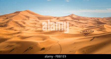 Camel trek through Saharan Dunes, Erg Chebbi Morocco Stock Photo