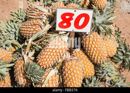 Locally grown pineapples on sale beside the A1 highway (Colombo- Kandy road)  in Sri Lanka Stock Photo