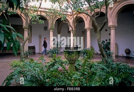 Córdoba.Andalusia. Spain:  Palace Viana. Courtyard of la Capilla Stock Photo