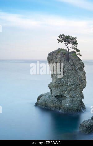 Portofino natural regional park. Lonely pine tree coastal rock beach. Long exposure photography. Liguria, Italy Stock Photo