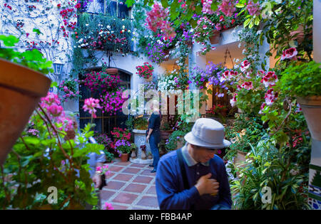 Cordoba.Andalusia. Spain: Typical courtyard, in 6 Parras street Stock Photo