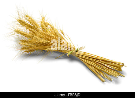 Small Bundle of Wheat Isolated on White Background. Stock Photo