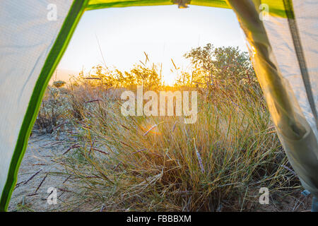 Camping along the Boy Scout Trail in the Wonderland of Rocks, Joshua Tree National Park, California Stock Photo