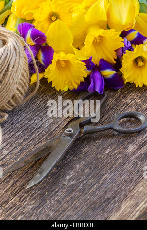 easter daffodils and irise Stock Photo