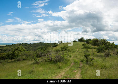 Landscape with trail in Lake Mburo National Park, Uganda, Africa Stock Photo