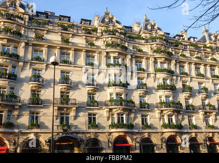 Luxury 5 Star Hotel Plaza Athénée, Avenue Montaigne, Paris, France Stock Photo